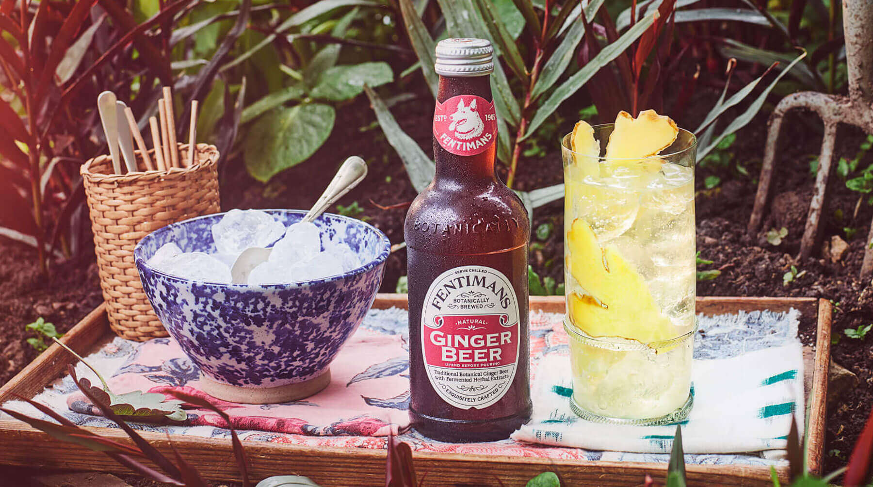 Fentimans Ginger Beer